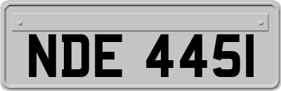 NDE4451
