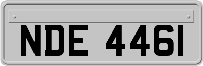 NDE4461