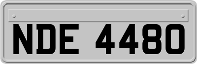 NDE4480