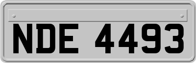 NDE4493