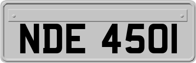 NDE4501