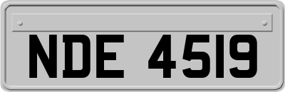 NDE4519