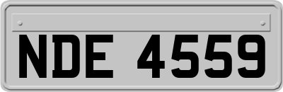 NDE4559