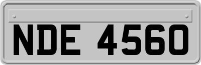 NDE4560