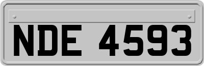 NDE4593