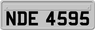 NDE4595
