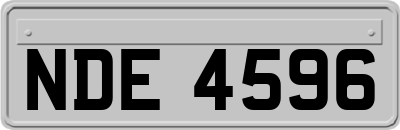NDE4596