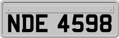 NDE4598