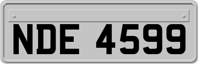 NDE4599