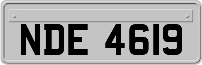 NDE4619