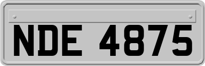 NDE4875