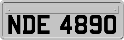 NDE4890