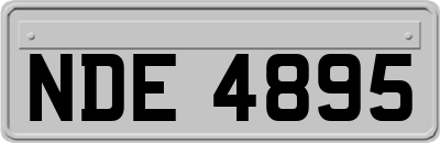 NDE4895