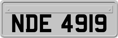 NDE4919