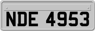 NDE4953