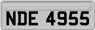 NDE4955