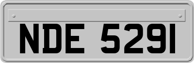 NDE5291