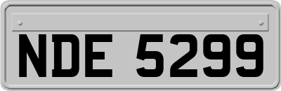 NDE5299