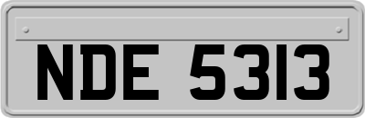 NDE5313