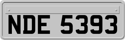 NDE5393