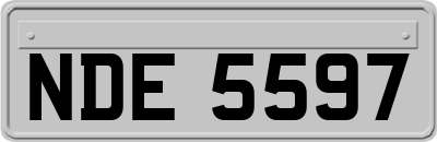 NDE5597