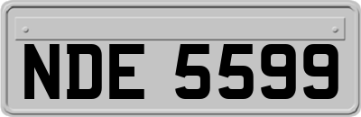NDE5599
