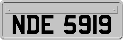 NDE5919