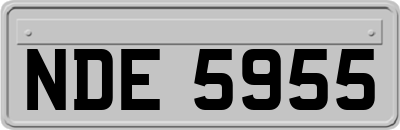 NDE5955