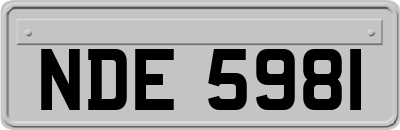 NDE5981