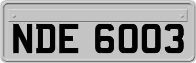 NDE6003