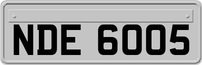 NDE6005