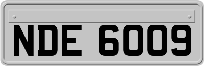 NDE6009