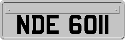 NDE6011