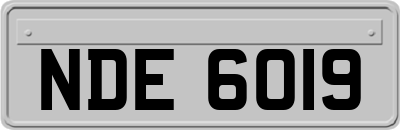 NDE6019