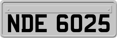 NDE6025