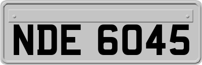 NDE6045