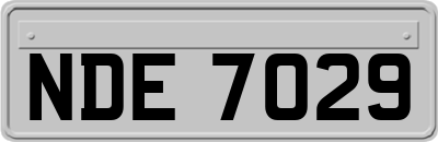 NDE7029
