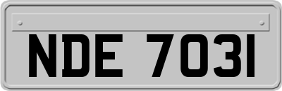 NDE7031