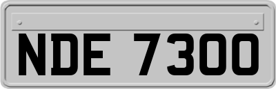 NDE7300