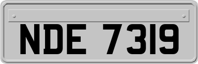 NDE7319