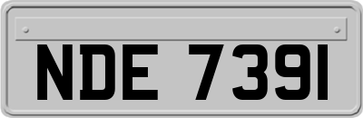 NDE7391