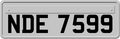 NDE7599