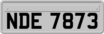 NDE7873