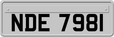 NDE7981