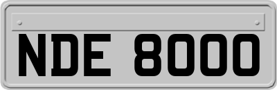 NDE8000