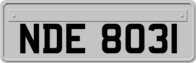 NDE8031