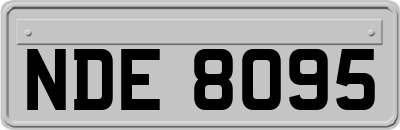 NDE8095