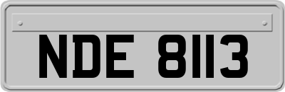 NDE8113