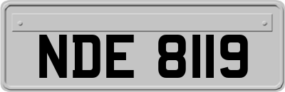 NDE8119