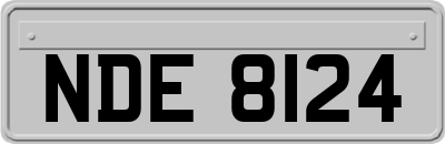 NDE8124